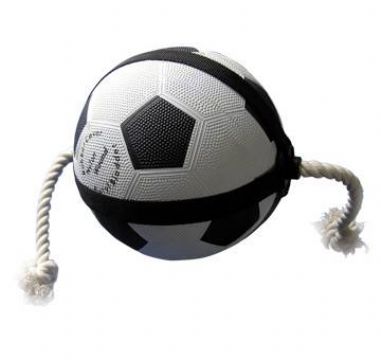 Football For Pet Fun (Qu-31) 